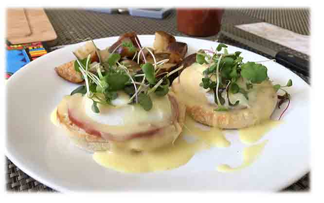 Eggs Benedict topped with a modern garnish microgreens.