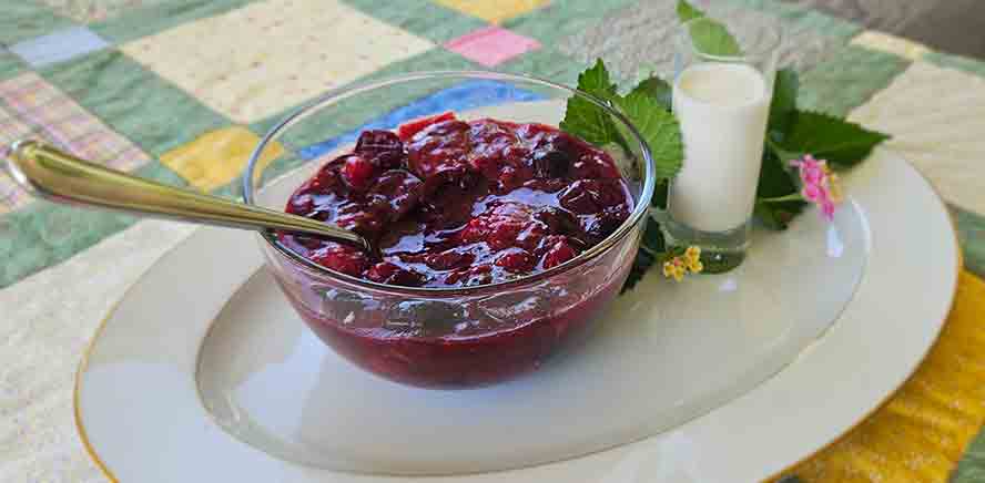Rote Gruetze with Vanilla Sauce